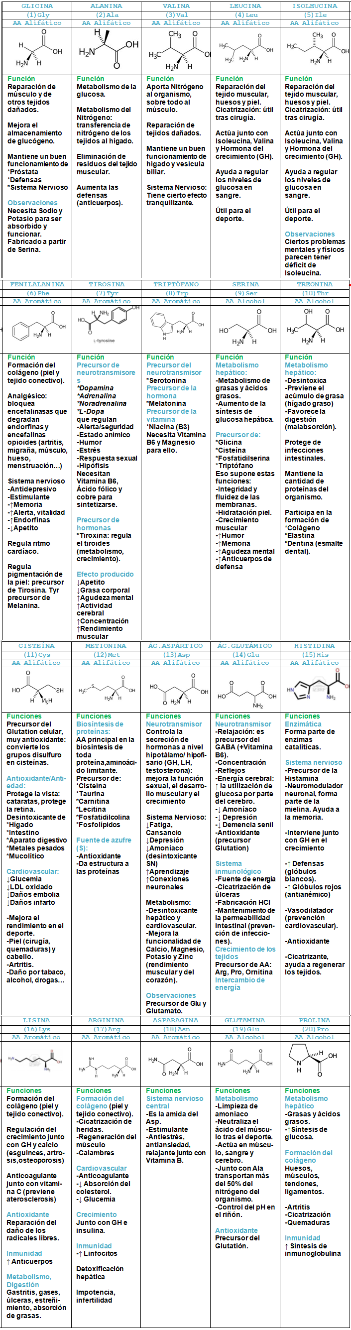 Aminoácidos: nutrientes fundamentales para nuestro organismo